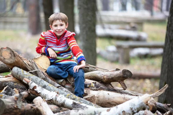 Bambino in natura. Un ragazzo siede su un mucchio di legna da ardere. Un bellissimo bambino su uno sfondo di alberi. — Foto Stock