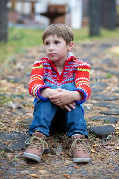 Bellissimo ragazzo siede su uno sfondo di natura. Bambino in una passeggiata autunnale. — Foto Stock