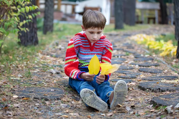 Bellissimo ragazzo siede con foglie gialle. Bambino in una passeggiata autunnale. — Foto Stock