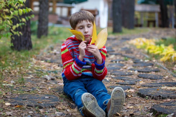 Bellissimo ragazzo siede con foglie gialle. Bambino in una passeggiata autunnale. — Foto Stock