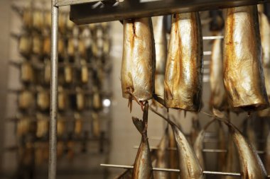 Tütsülenmiş balığın endüstriyel üretimi. Balık fabrikası.