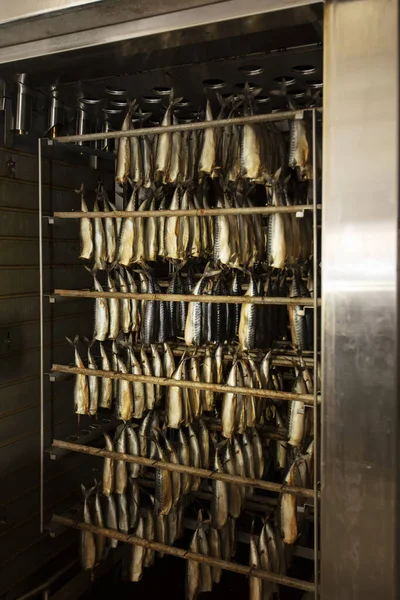 Industrial Smoking Fish Mackerel Smoking Oven — Stock Photo, Image