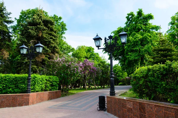 Taç Avenue. Volga setin içinde Ulyanovsk, Rusya. Bahar.