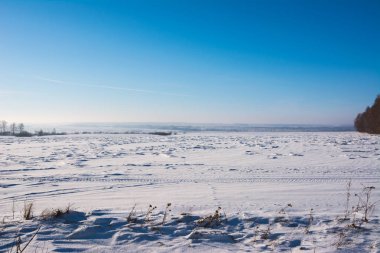 Bozkır kar ile kaplı kış, hoarfrost ağaçlarda, mavi gökyüzü. Bir sürü kar. Kış manzarası.