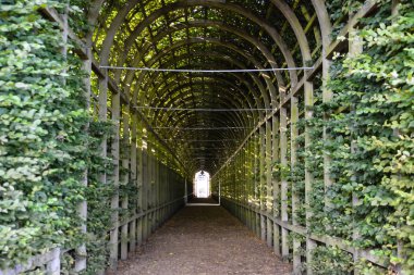 Hamptons, tuğla, İngiltere, çim, Halk Parkı. Londra, İngiltere - 21 Temmuz 2014: Hampton Court Sarayı Londra görünümü. Hampton Court aslında Kardinal Thomas Wolsey'in, Kral Henry VIII, bir favori 1514 yaklaşık için inşa edilmiş.
