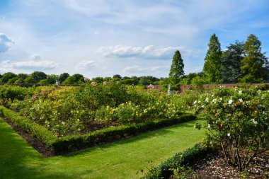 Hampton Court Sarayı, tuğla, İngiltere, çim, Halk Parkı. Londra, İngiltere - 21 Temmuz 2014: Hampton Court aslında Kardinal Thomas Wolsey'in, Kral Henry VIII, bir favori 1514 yaklaşık için yapılmıştır.