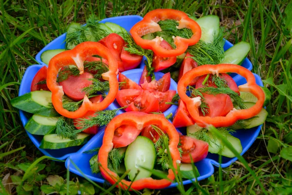 天然绿草上的新鲜蔬菜 不同的新鲜蔬菜混合在花园里 健康的食物 西红柿 辣椒和莳萝沙拉 — 图库照片