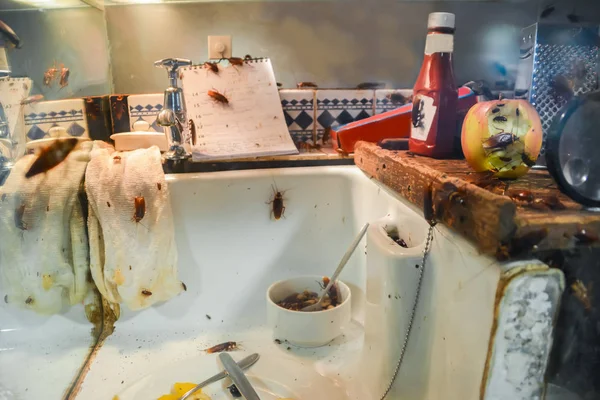 Hamamböceği kirli bir mutfak. Kirli tabaklar. Leftove.