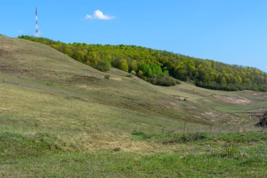 Güzel bahar manzara: ağaçlar, orman, dağlar, tepeler, alanlar, çayırlar ve mavi gökyüzü.