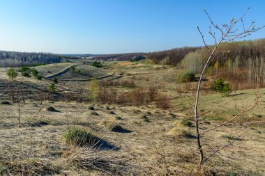 Güzel bahar manzara: ağaçlar, orman, dağlar, tepeler, alanlar, çayırlar ve mavi gökyüzü.