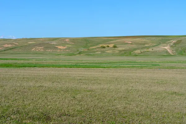 Hermoso paisaje de primavera: árboles, bosques, montañas, colinas, campos, prados y cielo azul . —  Fotos de Stock