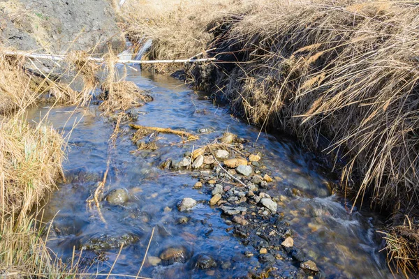 An einem sonnigen Tag fließen lang erwartete Frühlingsbäche über Schluchten und Hügel. Stromschnellen und Wasserfälle von Bächen inmitten des trockenen Grases. Frühlingslandschaft. — Stockfoto