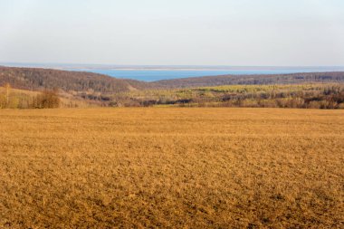 Kuru sarı ve taze yeşil çimenler ile Alanlar. Zıt geçiş taze yeşil çim altını çizer. Arka planda ormanlar, tarlalar, çayırlar, ağaçlar ve Volga Nehri.