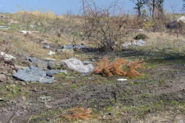 Çevre kirliliği. İnsanlar vahşi yaşamda enkaz bıraktılar. Doğayı ve şehir parkını kirleten ormanın yakınındaki çimlerin üzerine çöplük çöpve ıvır zıvır. Doğa koruma, bakım. Ekoloji.