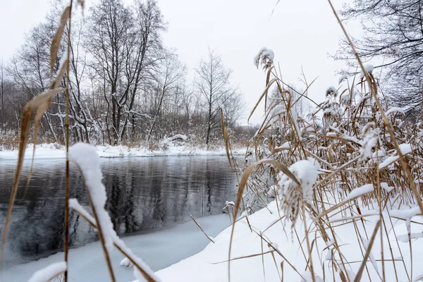 Lagos azuis famosos de origem cárstica. Os lagos azuis não congelam no inverno e se alimentam de águas subterrâneas. Água e lagos de lama estão curando de uma variedade de doenças. Lagos Rússia, Kazan . — Fotografia de Stock