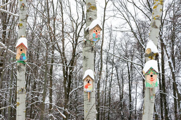 Smiley Birdhouses Birdhouse Form Funny Face Tree Handmade Wooden Nesting — Stock Photo, Image