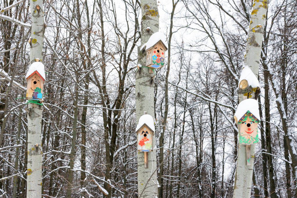 Smiley birdhouses. Birdhouse in the form of a funny face on the tree. Handmade wooden nesting box covered in snow. Winter landscape with trees covered of the snow and copy space.