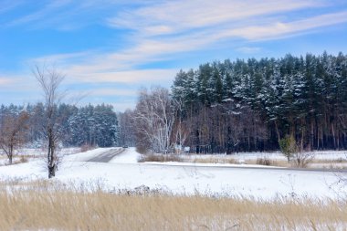 Kış otobanı üzerindeki şablonlar dört düz çizgi şeklinde. Karla kaplı ormanın arka planında karlı bir yol. Kış manzarası.