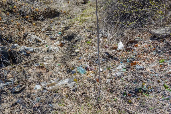 环境污染 人们把碎片留在野生动物里 垃圾堆放在森林附近的草地上 污染自然和城市公园 垃圾和垃圾 自然保护 — 图库照片