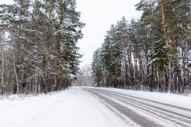 Kış otobanı üzerindeki şablonlar dört düz çizgi şeklinde. Karla kaplı ormanın arka planında karlı bir yol. Kış manzarası.