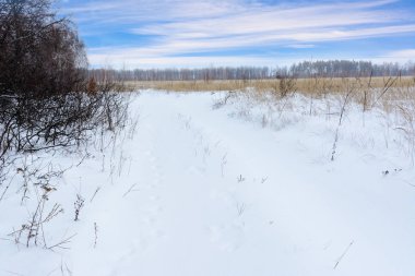 Kış manzarası. Karlı alan, ağaçlar ve güzel mavi gökyüzü. Kazanmak