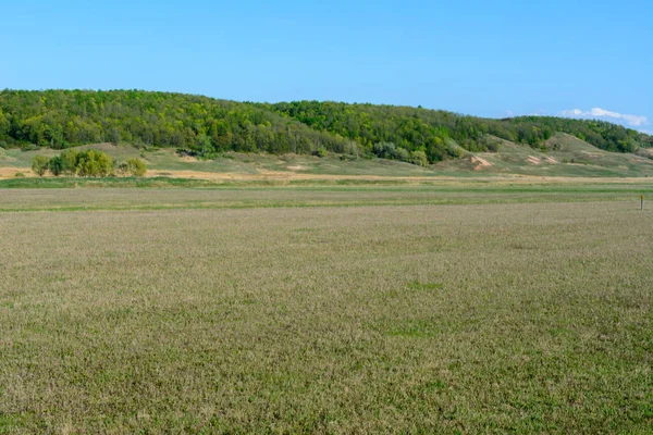 Vackra våren landskap: träd, skog, berg, kullar, fie — Stockfoto