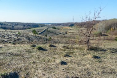 Güzel bahar manzara: ağaçlar, orman, dağlar, tepeler, fie