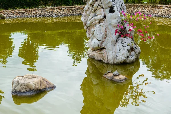 中国海南三亚 2020年2月20日 南山佛教中心地区绿池 绿绿的热带植被和巨大的石头 — 图库照片