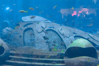 Hainan Adası 'ndaki Hotel Atlantis' te geniş bir akvaryumda (500 'den fazla tür balık, köpekbalığı, mercan ve kabuklu deniz hayvanı) çok çeşitli balıklar bulunur. Sanya, Çin.