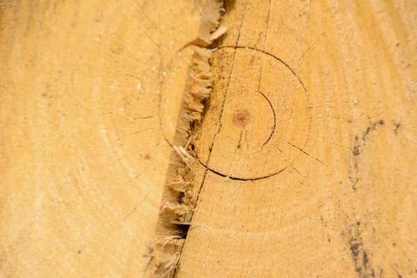 Baumringholz Natürliche Organische Textur Mit Rissiger Und Rauer Oberfläche Nahaufnahme — Stockfoto