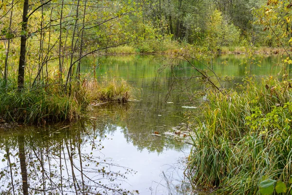 Schilf Gras Bäume Und Türkisfarbenes Wasser Eines Heilenden Sees Herbstlandschaft — Stockfoto