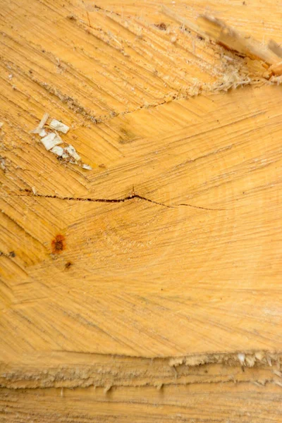 Tree ring log wood. Natural organic texture with cracked and rough surface. Close-up macro view of end cut wood tree section with cracks. Wooden surface with annual rings.