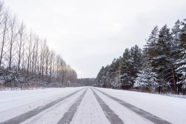 Kış otobanı üzerindeki şablonlar dört düz çizgi şeklinde. Karla kaplı ormanın arka planında karlı bir yol. Kış manzarası.