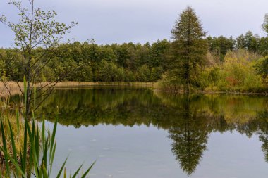 İyileşen gölün sazlıklar, çimenler, ağaçlar ve turkuaz suyu. Sonbahar manzarası. Kazan 'daki Mavi Göl' de sonbahar sabahı erken saatlerde. Rusya.