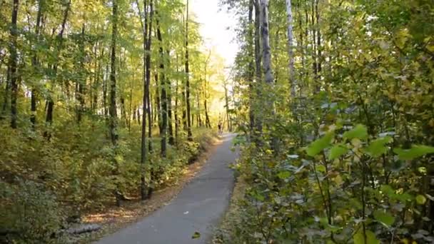在秋天的森林里 一个人正在沥青路面上打滚 — 图库视频影像