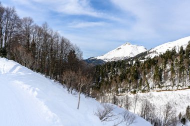 Karla kaplı dağlar ve panoramik manzaralı orman. Kışın muhteşem doğası.