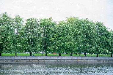Şehir nehir setin güneşli gün üzerinde kestane ağaçları 