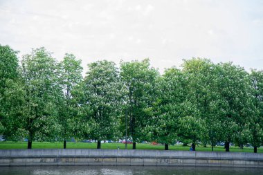 Şehir nehir setin güneşli gün üzerinde kestane ağaçları 