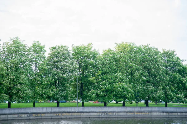 Şehir nehir setin güneşli gün üzerinde kestane ağaçları 
