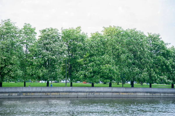 Şehir nehir setin güneşli gün üzerinde kestane ağaçları 