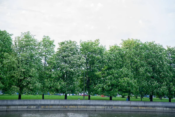 Şehir nehir setin güneşli gün üzerinde kestane ağaçları 