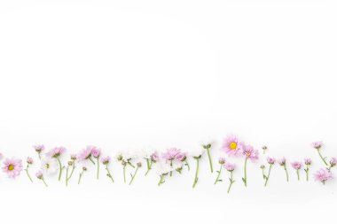 çiçekler ve çiçekleri düzenlenmiş izole üzerinde beyaz arka plan, yakın çekim, botanik kavramı