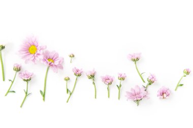 çiçekler ve çiçekleri düzenlenmiş izole üzerinde beyaz arka plan, yakın çekim, yaz konsepti