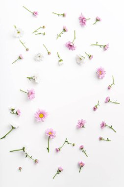 Beyaz arka plan üzerinde düzenlenmiş Circle çerçeveli çiçekler ile kompozisyon  