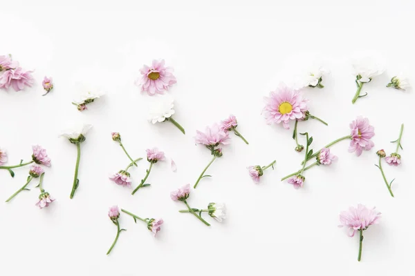 Modello Floreale Con Teneri Fiori Rosa Bianchi Disposti Sfondo Bianco — Foto Stock