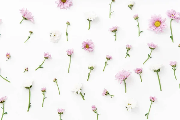 Λουλουδάτο Μοτίβο Τρυφερό Ροζ Και Άσπρα Λουλούδια Διατεταγμένα Λευκό Φόντο — Φωτογραφία Αρχείου