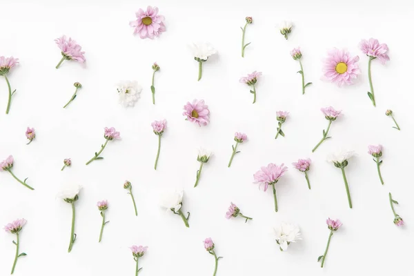 Modello Floreale Con Teneri Fiori Rosa Bianchi Disposti Sfondo Bianco — Foto Stock