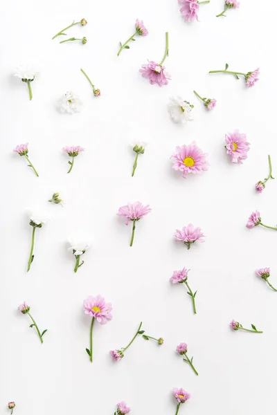 Modello Floreale Con Teneri Fiori Rosa Bianchi Disposti Sfondo Bianco — Foto Stock