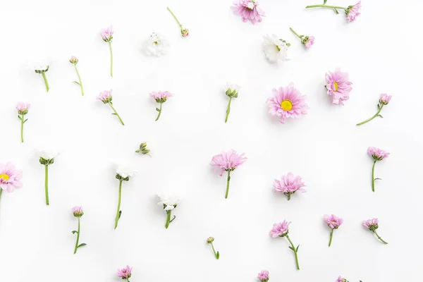 Modello Floreale Con Teneri Fiori Rosa Bianchi Disposti Sfondo Bianco — Foto Stock