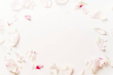 beyaz şakayık yaprakları beyaz zemin üzerine, romantik kavramı düzenlenmiş Circle çerçeveli 